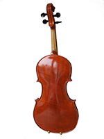 Violina 3 Uspravna Pozadina